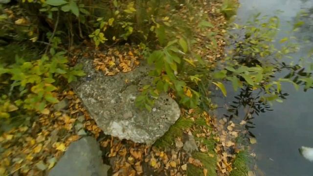 "КЛЁВ КАК НА ЧЁРНЫХ КАМНЯХ") МОРМЫШИНГ. ПЕРВЫЙ ОПЫТ. ОСЕНЬ. РЫБАЛКА2022 смотреть онлайн