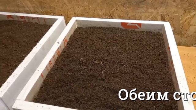 Червь в трёх литрах конского навоза, спустя три недели.