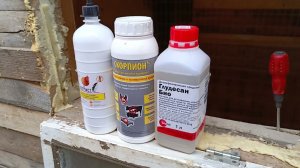 ДЕЗИНФЕКЦИЯ и ОБРАБОТКА КУРЯТНИКА перед заселением новых жильцов