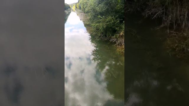 Крым Советский район Сентябрь 2021 Северо-Крымский канал смотреть онлайн