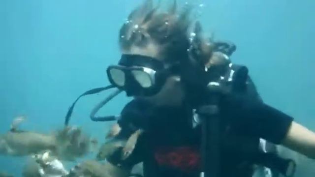 голодные рыбы Черного моря смотреть онлайн