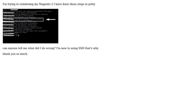 Magento: SSH "Could not open input file: bin/magento" Magento2 (2 Solutions!!) смотреть онлайн