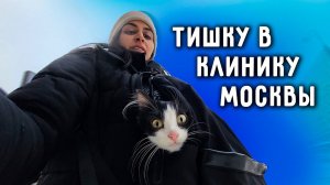 Обследуем Тишку в Москве, полностью сдали все анализы. Мы переезжаем.