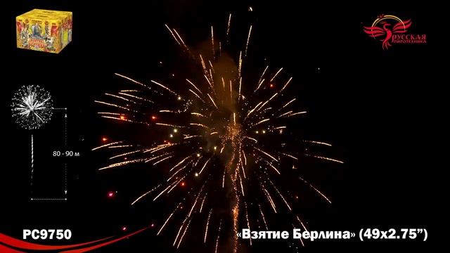 PC 9750.mp4 смотреть онлайн