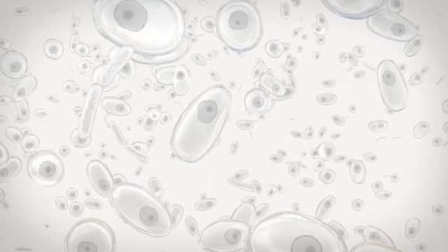 ECOBIOTYS®, From Nectarobiota® to skin microbiota: the power of bio-inspiration смотреть онлайн