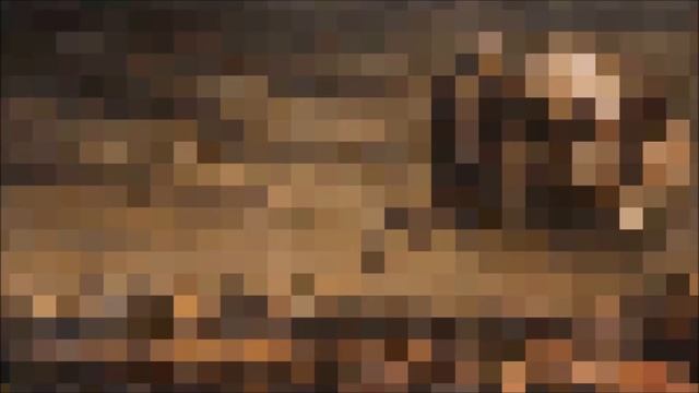 CREEPYPASTA | They Came From The Sea смотреть онлайн