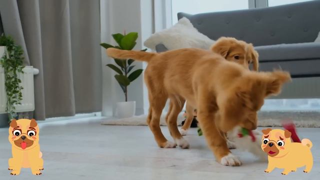 Calming Piano Music for Dogs - 12 HOURS | Deep Separation Anxiety Music for Dogs Relaxation смотреть онлайн