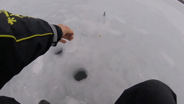 Можайское вдхр. Ильинское. 31 марта 2021. С чёртиком по старым лункам... смотреть онлайн