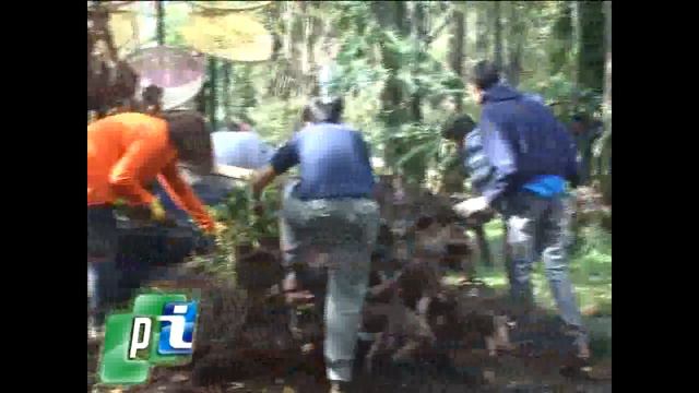 Costos de entradas para la próxima fiesta de la Flor y Orquidea.- смотреть онлайн