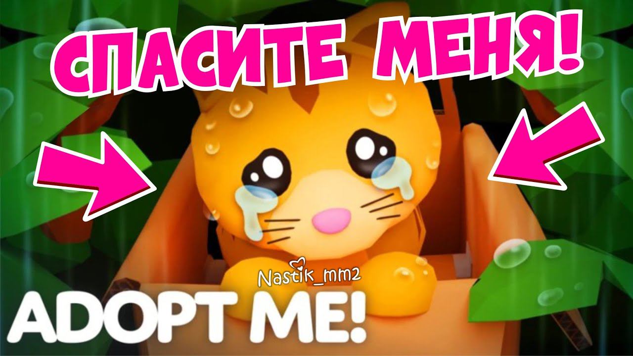 СЛУЧИЛОСЬ СТРАШНОЕ!СПАСИТЕ КОТИКА!ЭТО ТАК ГРУСТНО НОВОЕ ОБНОВЛЕНИЕ В АДОПТ МИ! ADOPT ME смотреть онлайн