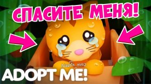 СЛУЧИЛОСЬ СТРАШНОЕ!СПАСИТЕ КОТИКА!ЭТО ТАК ГРУСТНО НОВОЕ ОБНОВЛЕНИЕ В АДОПТ МИ! ADOPT ME