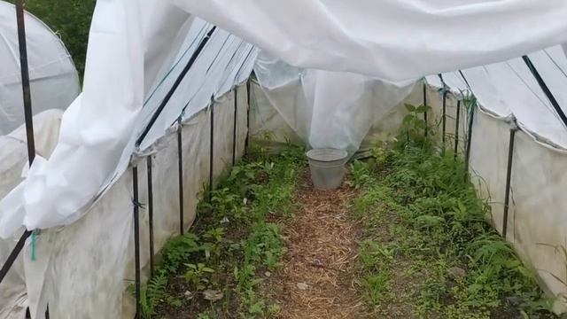 13.06.2021 - Заехали в гости - Тверская область 2 часть смотреть онлайн