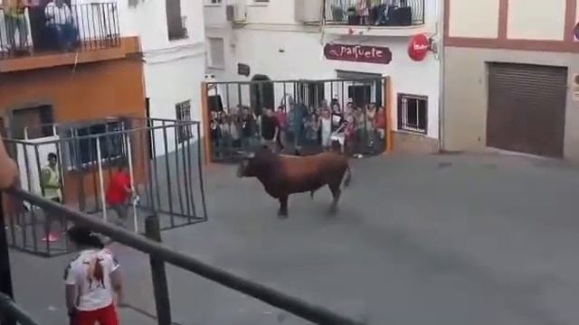 ШОК! НИ КОГДА НЕ ДРАЗНИТЕ БЫКА смотреть онлайн