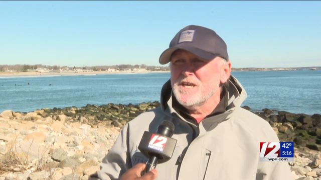 Dead porbeagle shark washes ashore in Watch Hill смотреть онлайн