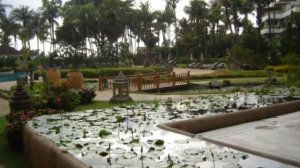 Татарская песня Кубаляк Зө-Ләй-Лә