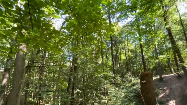 Самый длинный спуск на велосипеде в Москве (18 км) смотреть онлайн