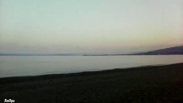 Большая стая чаек летит над морем смотреть онлайн