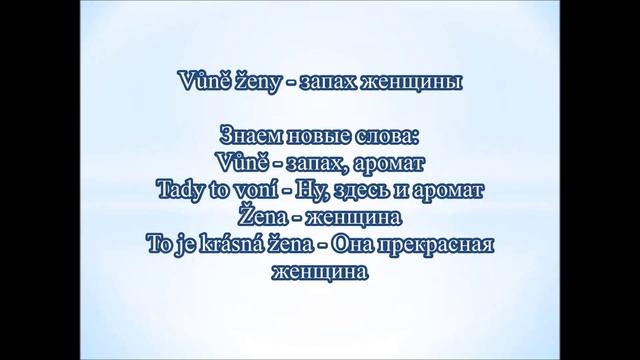 Чешский язык. Видеокурс. Как расширить словарный запас. Лекция 1 (улучшенная) смотреть онлайн