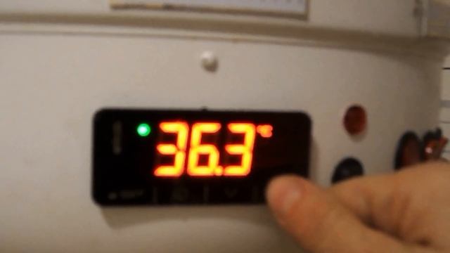 Домашний сыр и рецепты