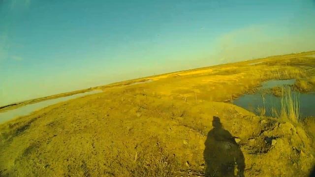Охота на утку 2016 Подранок как сквозь землю провалился, кряква-селезень, вечерка. Duck hunting смотреть онлайн