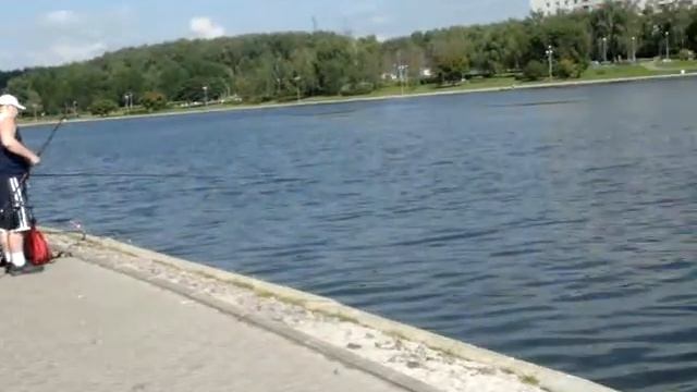 Гольяново - Москва.Утро. Пруд-3. Рыбаки. Рыба. смотреть онлайн