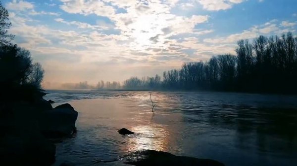 Relaxing Flute Music Zen and Nature Sounds /Wooden Flute and Pan Flute