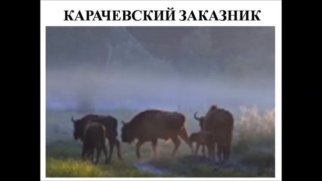 День заповедников и национальных парков смотреть онлайн