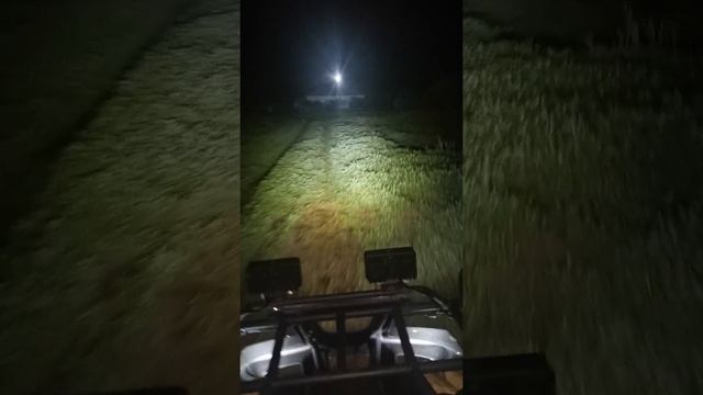 НОЧНЫЕ ПОКАТУШКИ на квадроцикле Авантис 250 кубов, 2020 год смотреть онлайн