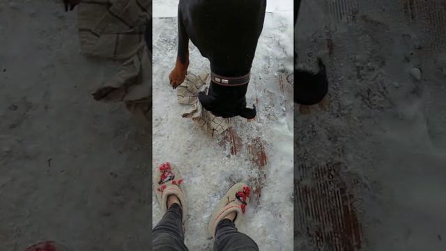 Утро в деревне с доберманом) смотреть онлайн