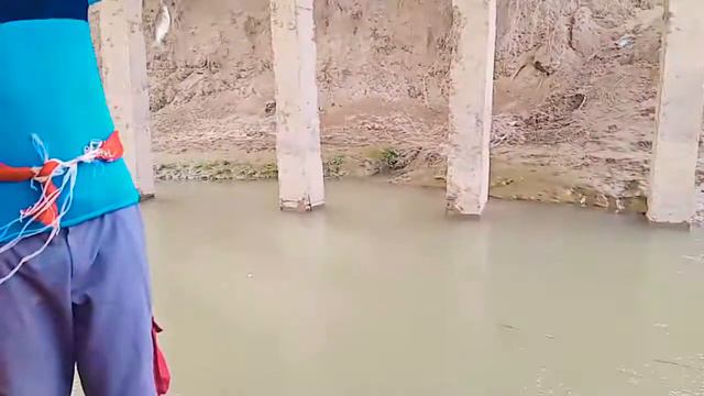 сентиралний зебирда балик овида смотреть онлайн
