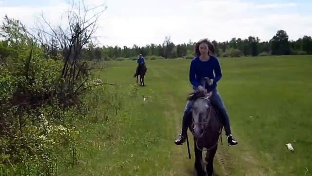 Конный поход в Бургени, 12.06.15 немного пробежались =) смотреть онлайн