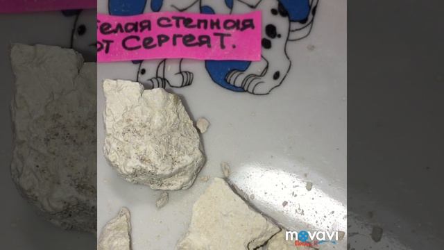 Глина Белая степная от Сергея Тихонова