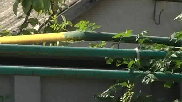 Одеский дневник 19-07-02 смотреть онлайн