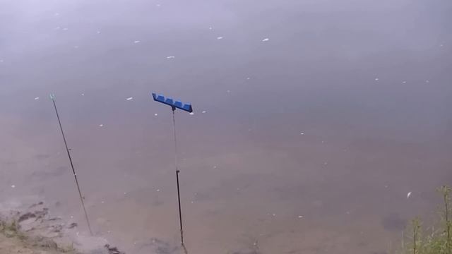 Рыбалка с 3 по 4 сентября 2016 Фидер клёв Леща тока ночью смотреть онлайн