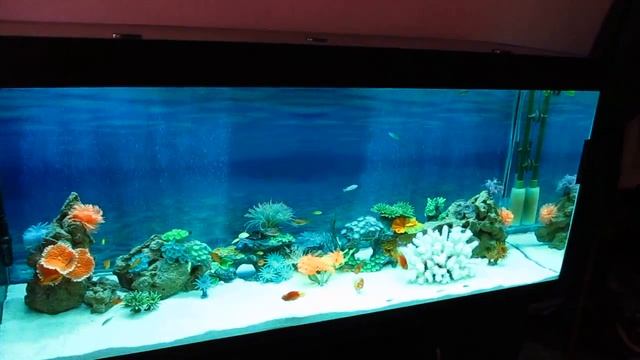 RGB LED подсветка аквариума смотреть онлайн