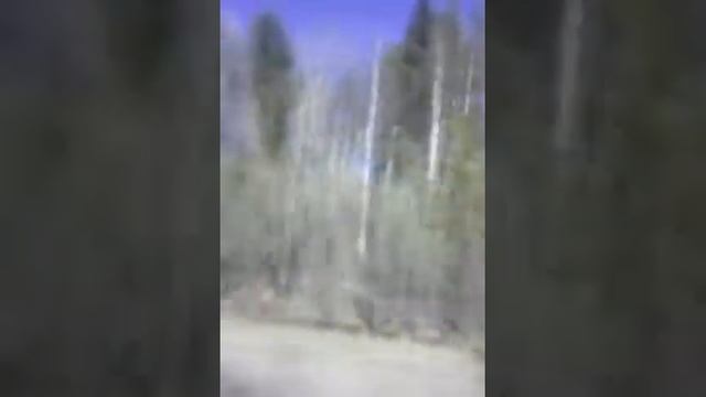 Летом я хочу чтобы ты был рядом со мной смотреть онлайн