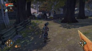 Fable Anniversary прохождение за начинающего злодея