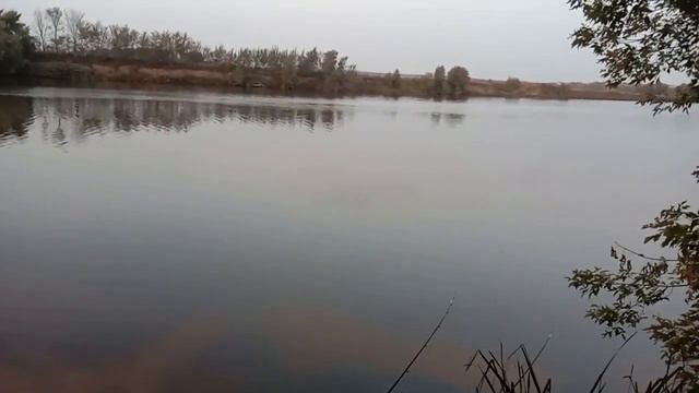 Рыбалка на москва реке смотреть онлайн