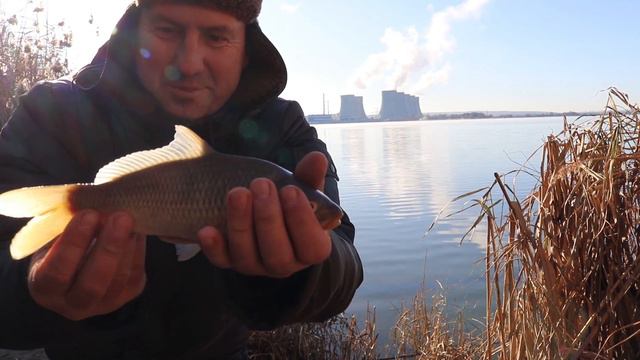Нововоронежское водохранилище / Атомный карпик смотреть онлайн