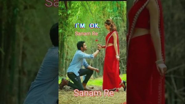 SANAM RE, SUPER HIT SONG GANA//HINDI ROMANTIC MELODIES SONGS// ST BOY