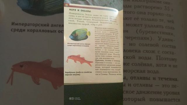 тема моря и океаны 🌊 смотреть онлайн