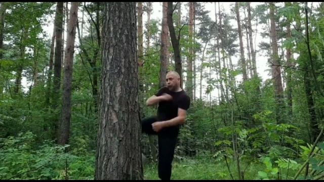 Самозащита ЦЗЫ ЖАНЬ ЛИ. смотреть онлайн