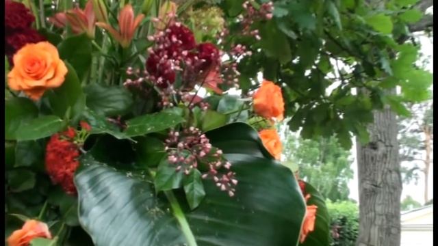 На выставке цветов в Павловске/ Pavlovsk смотреть онлайн