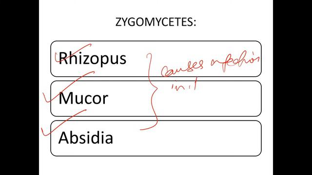 Opportunistic Mycoses | Mycology | DPADS | Dr Pronob Paul смотреть онлайн