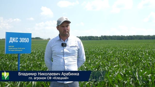 Средний удой на корову - 12 000 кг молока смотреть онлайн