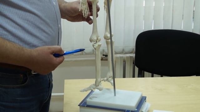 Пяточная Шпора. Причины и Лечение Пяточной Шпоры (рекомендации врача). смотреть онлайн