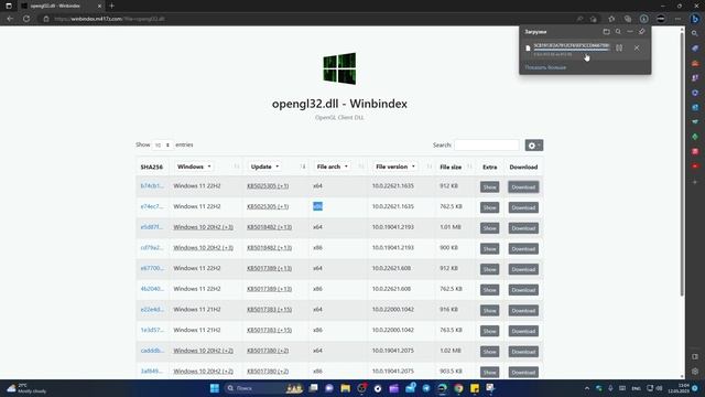 Исправление ошибки OpenGL.dll в Windows 11/10 смотреть онлайн