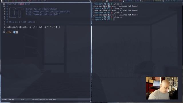 Bash Scripting - Variables, Arrays, If-Then-Else смотреть онлайн