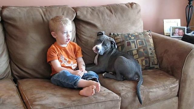 Matthew and Juno relaxing on the couch watching cartoons смотреть онлайн