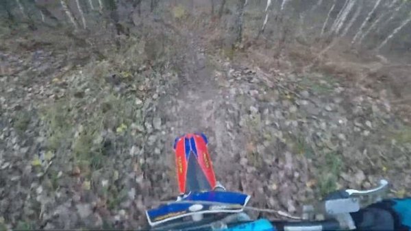 Гонюсь за KTM EXC 300 TPI по лесу на своём KTM SX 65